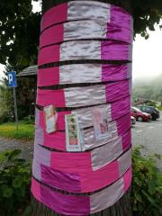 rožnati oktober_Dravograd2019_2